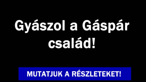 A Gáspár család-ról van szó!