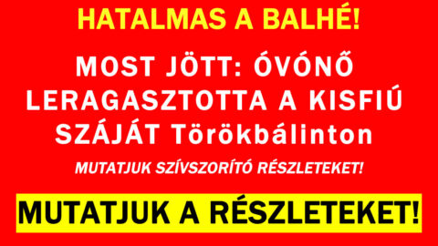 Pácban a pedagógus!