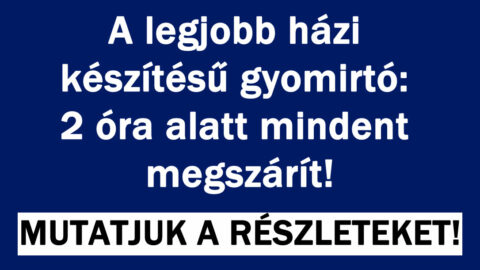 A legjobb házi készítésű gyomirtó