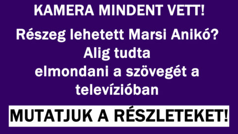 Marsi Anikó drámája