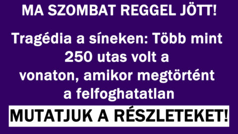 Több mint 250 utas volt a vonaton