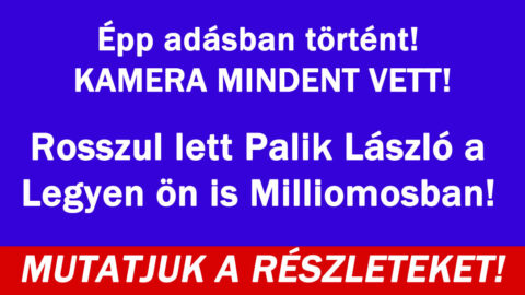 Rosszul lett Palik László