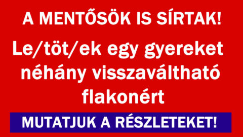 Megdöbbentő eset történt!