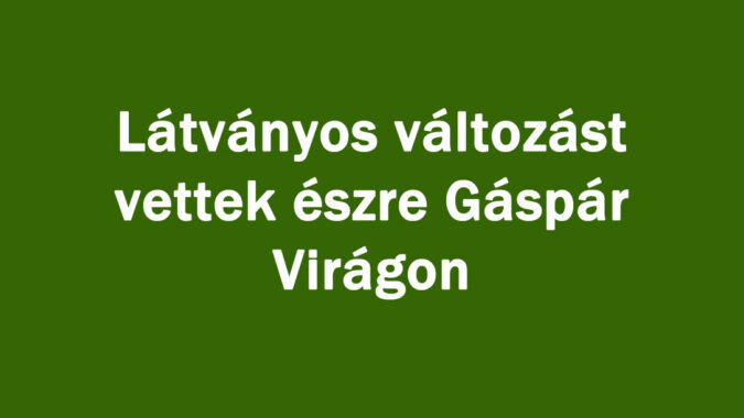 Látványos változást vettek észre Gáspár Virágon