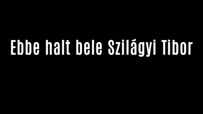 Ebbe halt bele Szilágyi Tibor