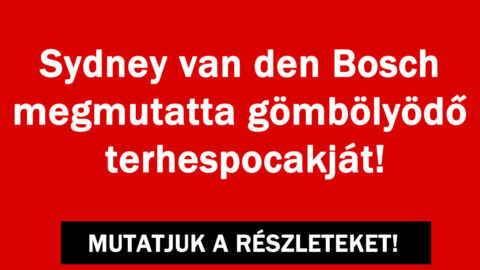 Sydney van den Bosch mutatóban!