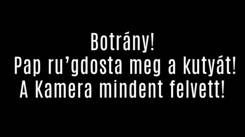 Botrány! Pap r/gdosta meg a kutyát!