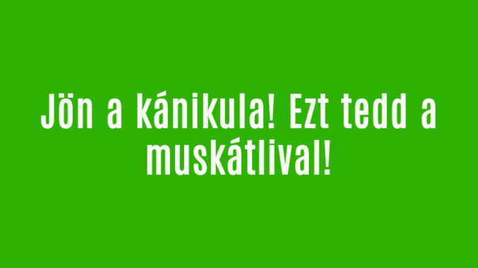 Jön a kánikula! Ezt tedd a muskátlival!