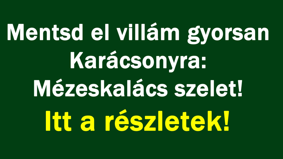 Mentsd el villám gyorsan Karácsonyra: Mézeskalács szelet!