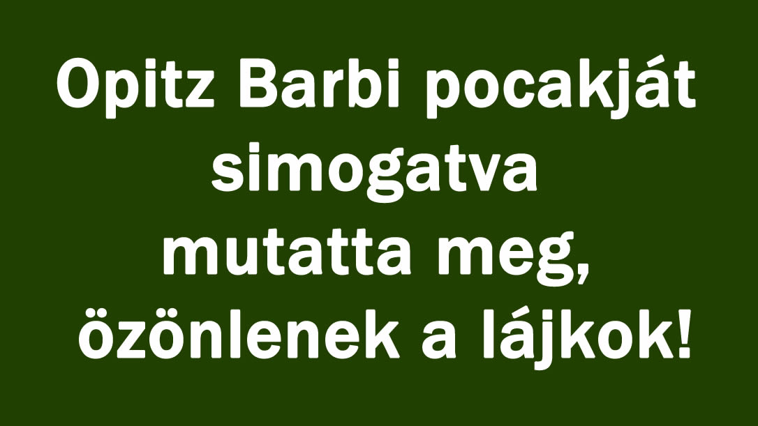 Opitz Barbi pocakját simogatva mutatta meg, özönlenek a lájkok!