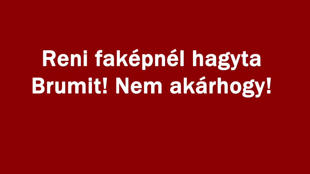 Reni faképnél hagyta Brumit! Nem akárhogy!