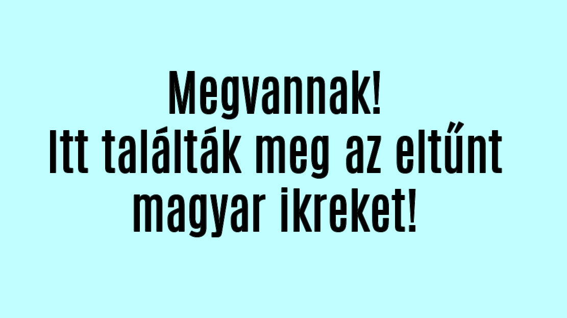 Megvannak! Itt látták az eltűnt magyar ikreket!