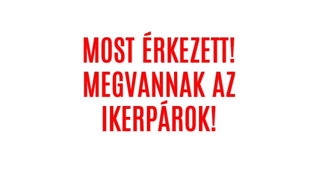 MOST ÉRKEZETT! MEGVANNAK AZ IKERPÁROK!