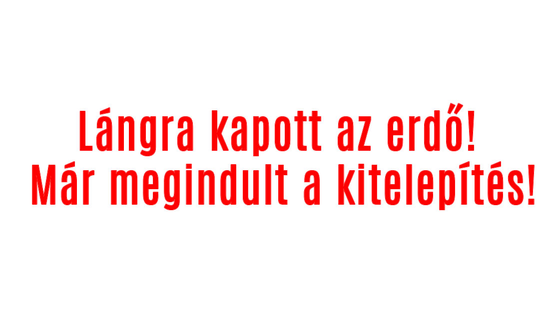 Lángra kapott az erdő! Már megindult a kitelepítés!
