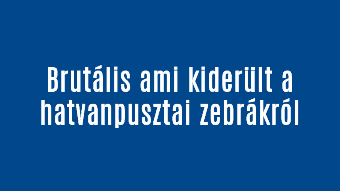 Brutális ami kiderült a hatvanpusztai zebrákról